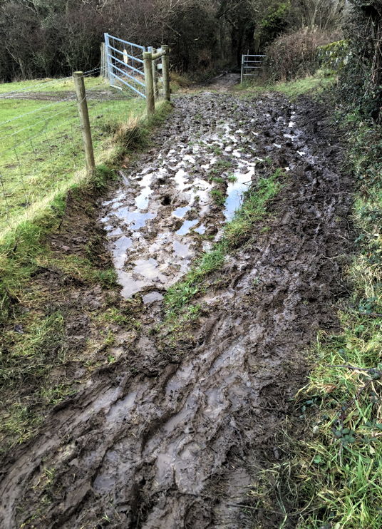 Deep mud on a section of the Worsley Trail, Isle of Wight, 19 Jan 2015.