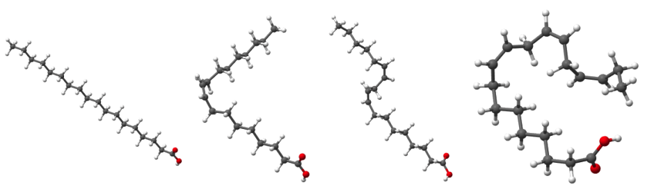C18 fatty acid molecules. From the left these are stearic acid (C18, saturated), oleic acid (C18:1, singly unsaturated), linoleic acid (C18:2, polyunsaturated), and alpha-linolenic acid (C18:3, polyunsaturated). Linoleic and linolenic acids are the most important in drying oils. © 2014 EHN & DIJ Oakley.