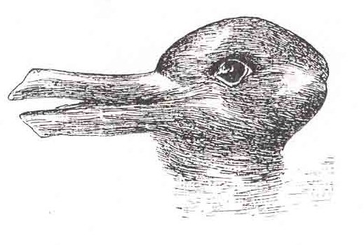 Duck-rabbit illusion, Wikimedia Commons.