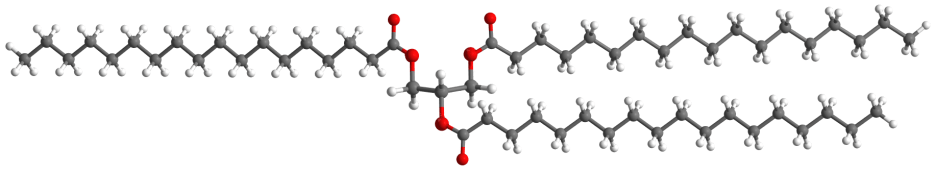 A triglyceride molecule, made up of three fatty acids bonded to a central glycerol unit. © 2014 EHN & DIJ Oakley.