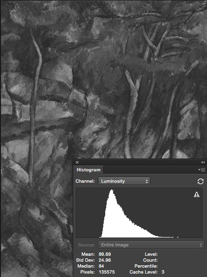 Paul Cézanne, In the Park of the Château Noir (1898-1900), oil on canvas, 92 x 73 cm, Musée de l'Orangerie, Paris. WikiArt. Luminosity profile shown in Photoshop.