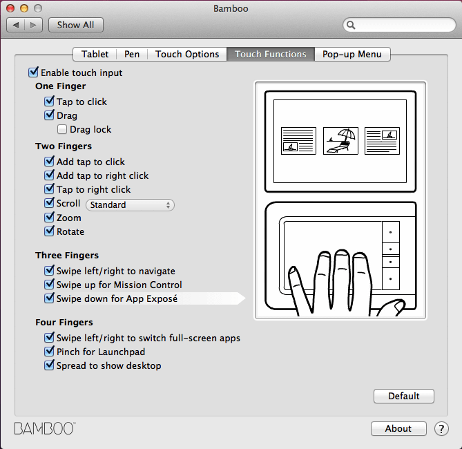 Bamboo tablets also support touch input if you wish.