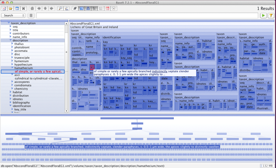 BaseX is a powerful XML-native database which works excellently with its hierarchical structure.
