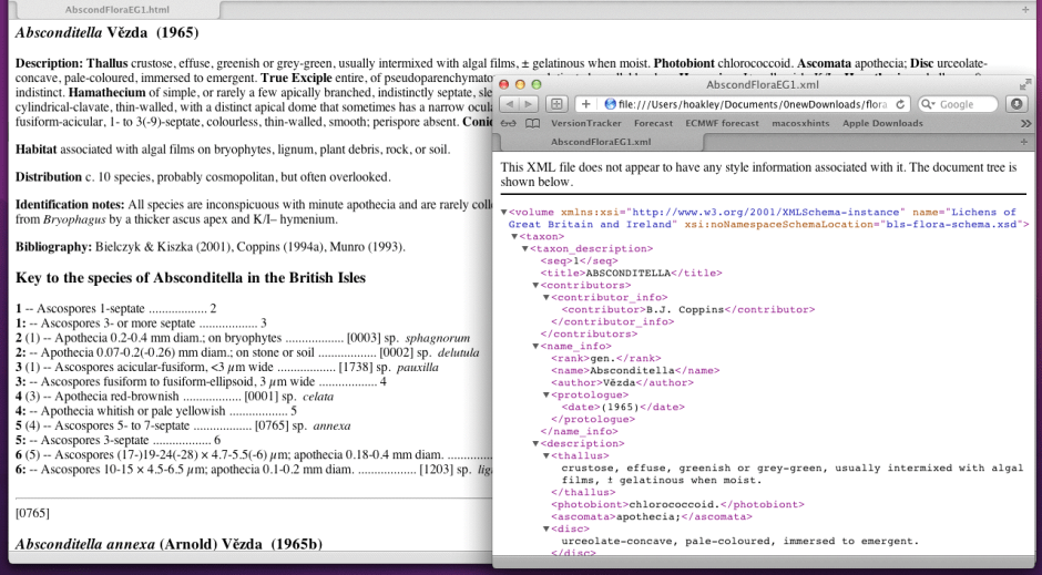 On the right, native XML, transformed to HTML and rendered on the left, in Safari.