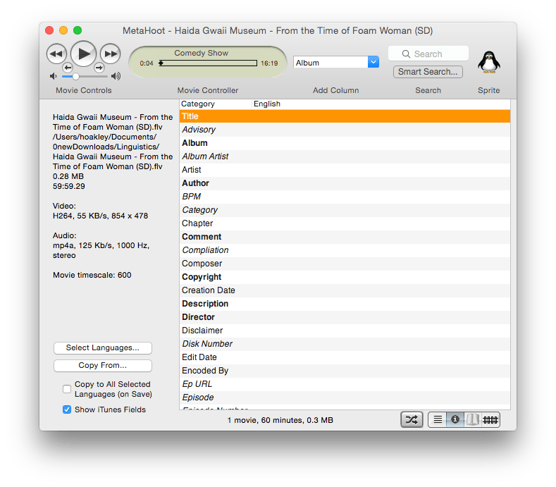 Although quite old, Metadata Hootenanny can reveal video and audio compression formats, together with full metadata, making it very useful for opening movies up.