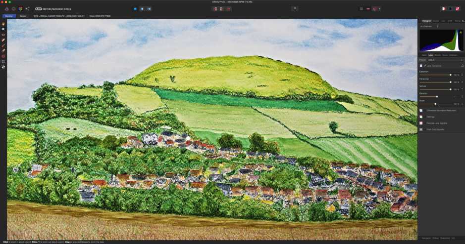 For straightforward processing, you should be able to work with imported RAW files, and quickly generate corrected and adjusted JPEGs.