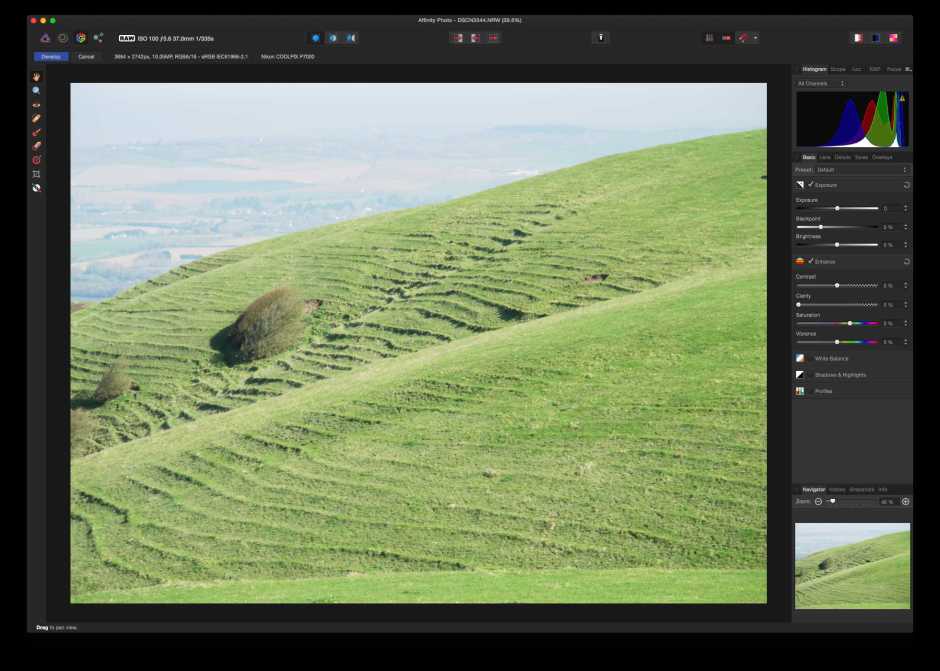 Affinity Photo: adjust Basic settings for the RAW image.