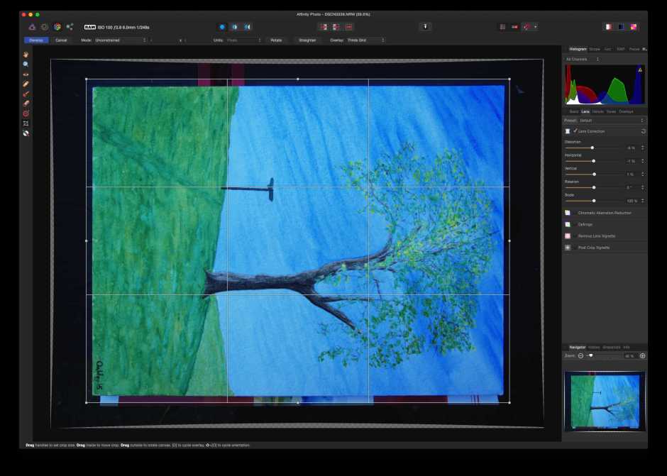 Affinity Photo: Lens panel settings are then adjusted to make the edges as parallel as possible with the crop box.