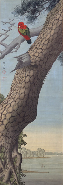 Satake Shozan (佐竹 曙山) (1748-1785), Pine Tree and Parakeet (絹本著色松に唐鳥図) (Edo, 1700s), colour on silk, 173 x 58 cm, Private collection. Wikimedia Commons.