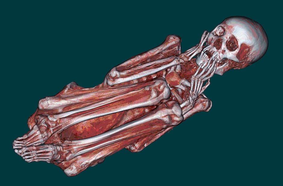 Three dimensional model of a Peruvian mummy from CT scans. By U.S. Navy photo, via Wikimedia Commons.