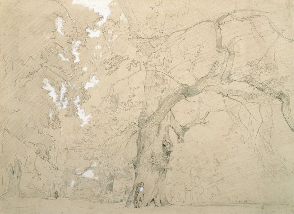 Jean-Baptiste-Camille Corot (1796–1875), Young Man in front of a Great Oak (1840-2), graphite heightened with white gouache on tan paper, 29.2 x 39.8 cm, Museum of Fine Arts, Houston, TX. Wikimedia Commons.