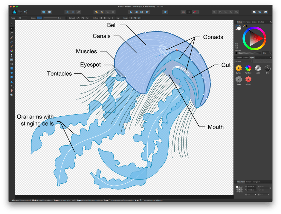 Affinity Designer in action.