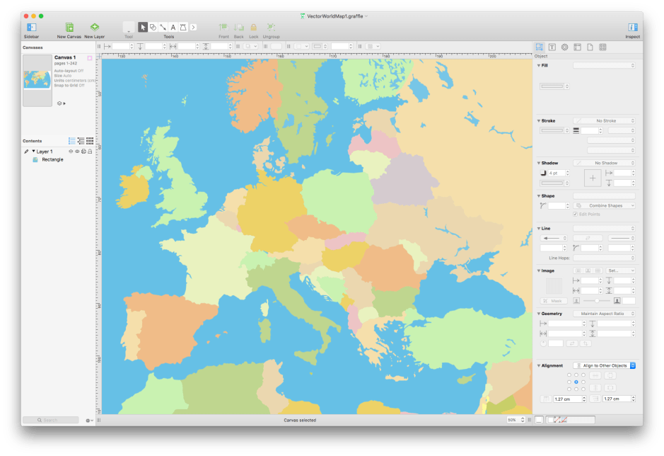 OmniGraffle is a very versatile diagramming tool, which can also do sophisticated mapping.