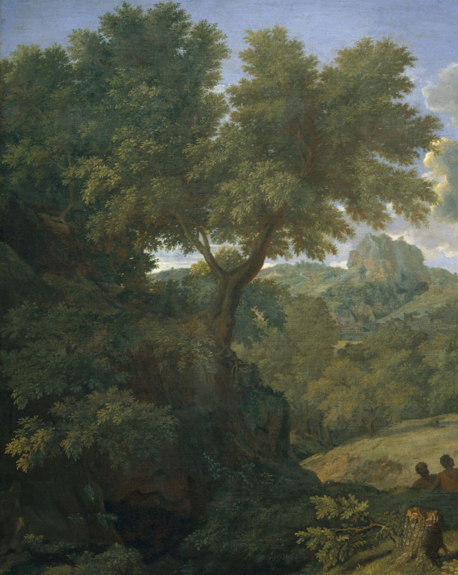 poussinblindoriondet