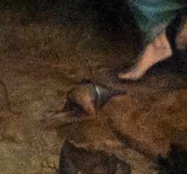 massijstemptationstanthony