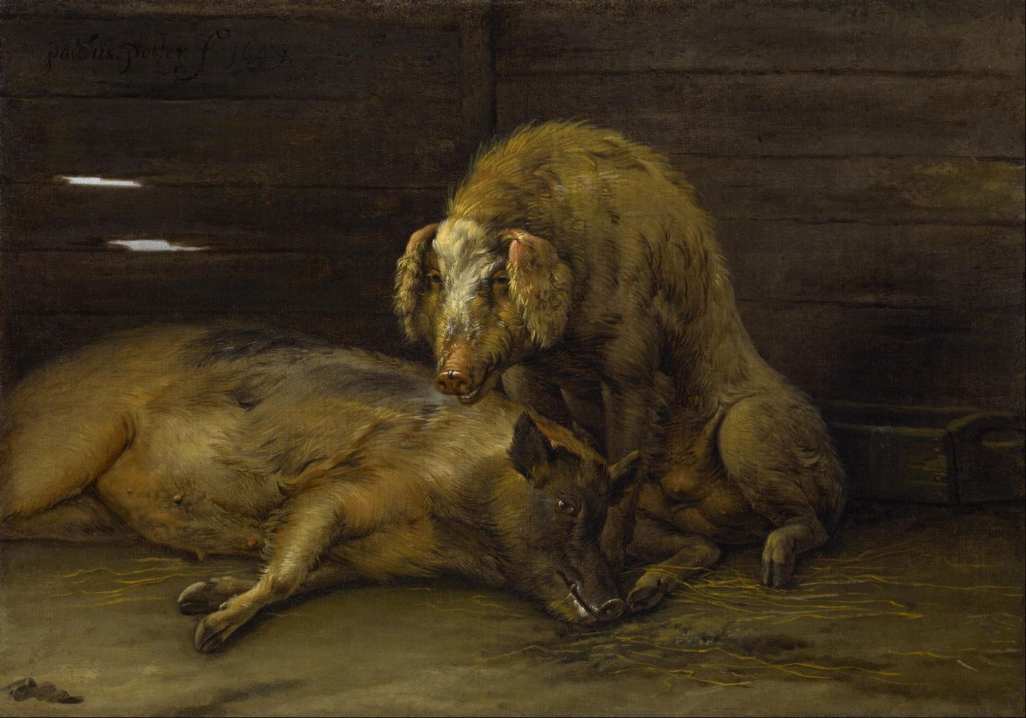 The Dutch Golden Age: Animal painting – The Eclectic Light Company
