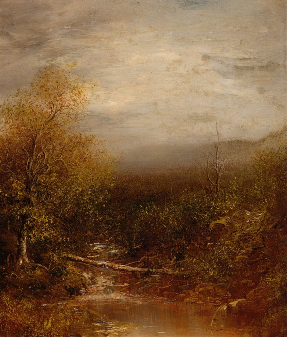 blakelockpooladirondacks