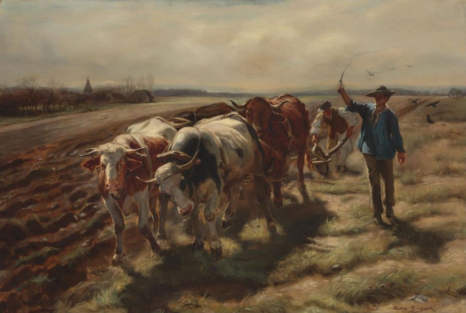 bonheuroxenploughing