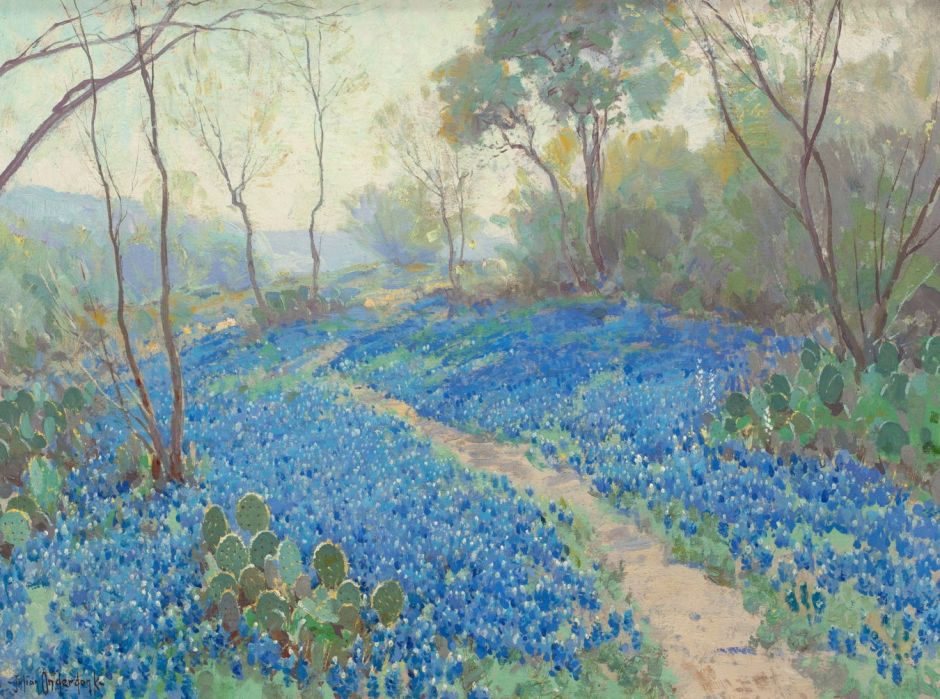 onderdonkhillsidebluebonnets