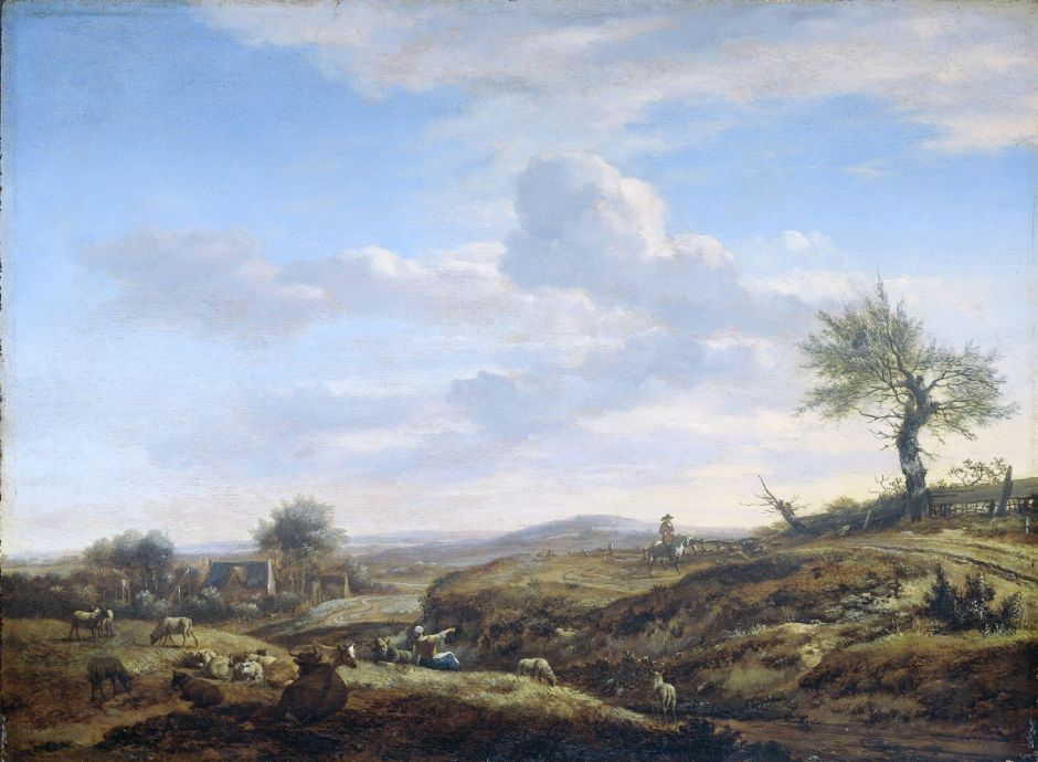 vandeveldeheuvelachtiglandschap