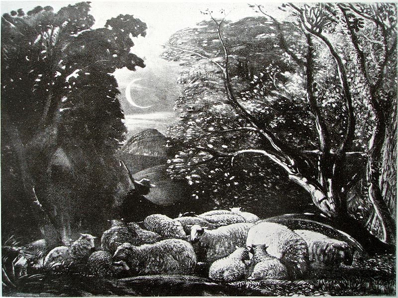 palmershorehamsketch