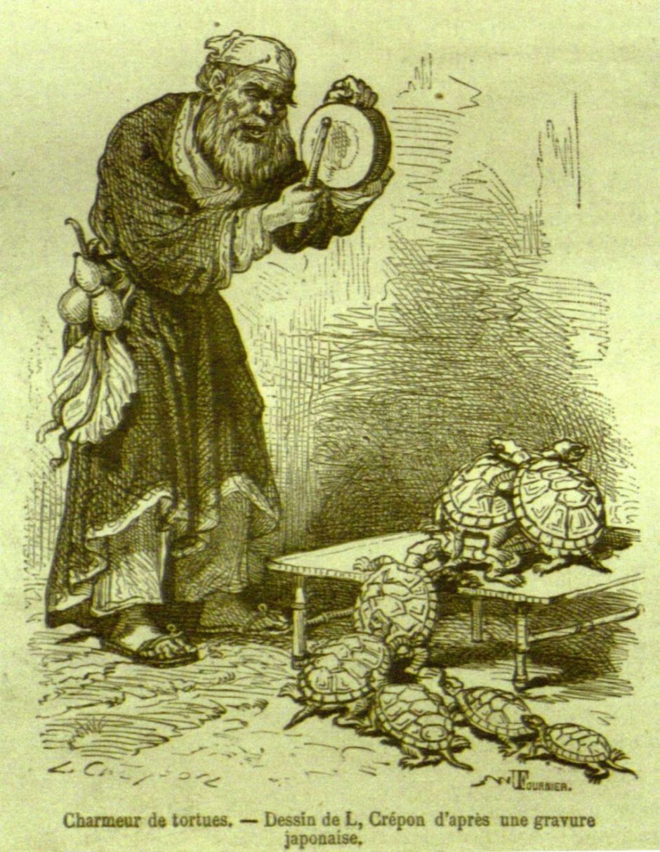 creponcharmeurdetortues