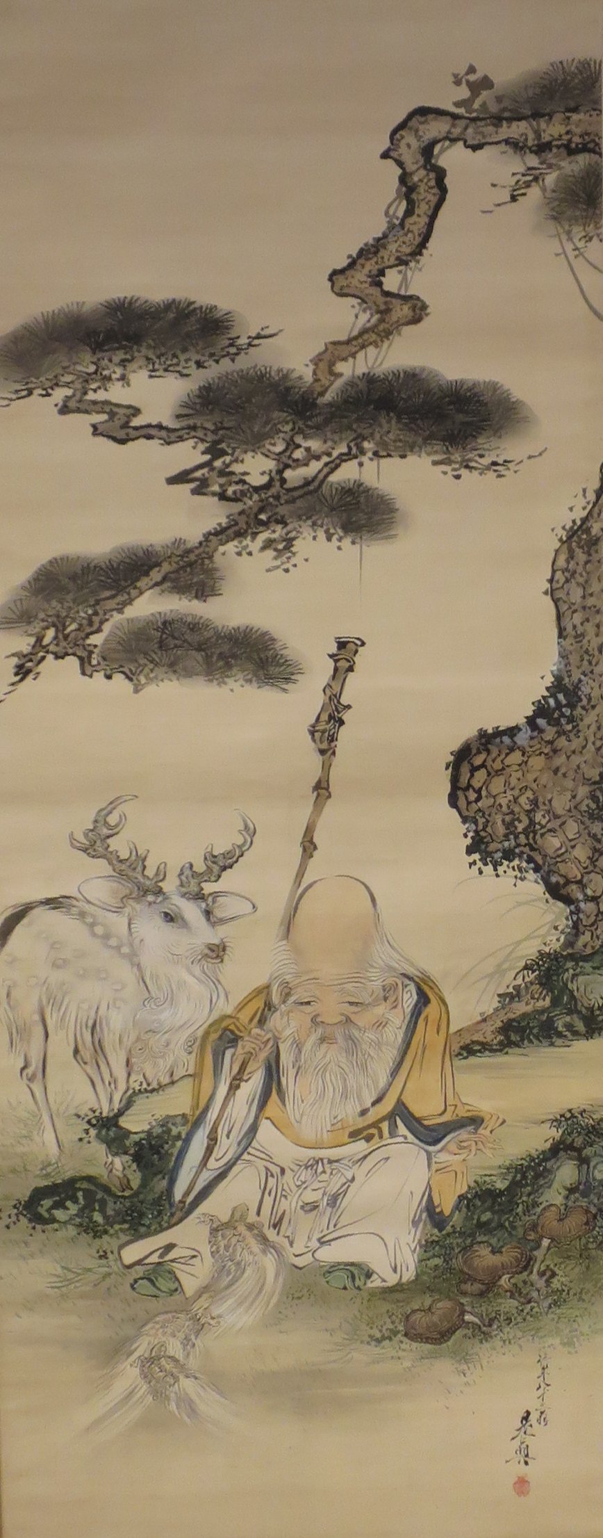 shibatazeshinjurojindeertortoises