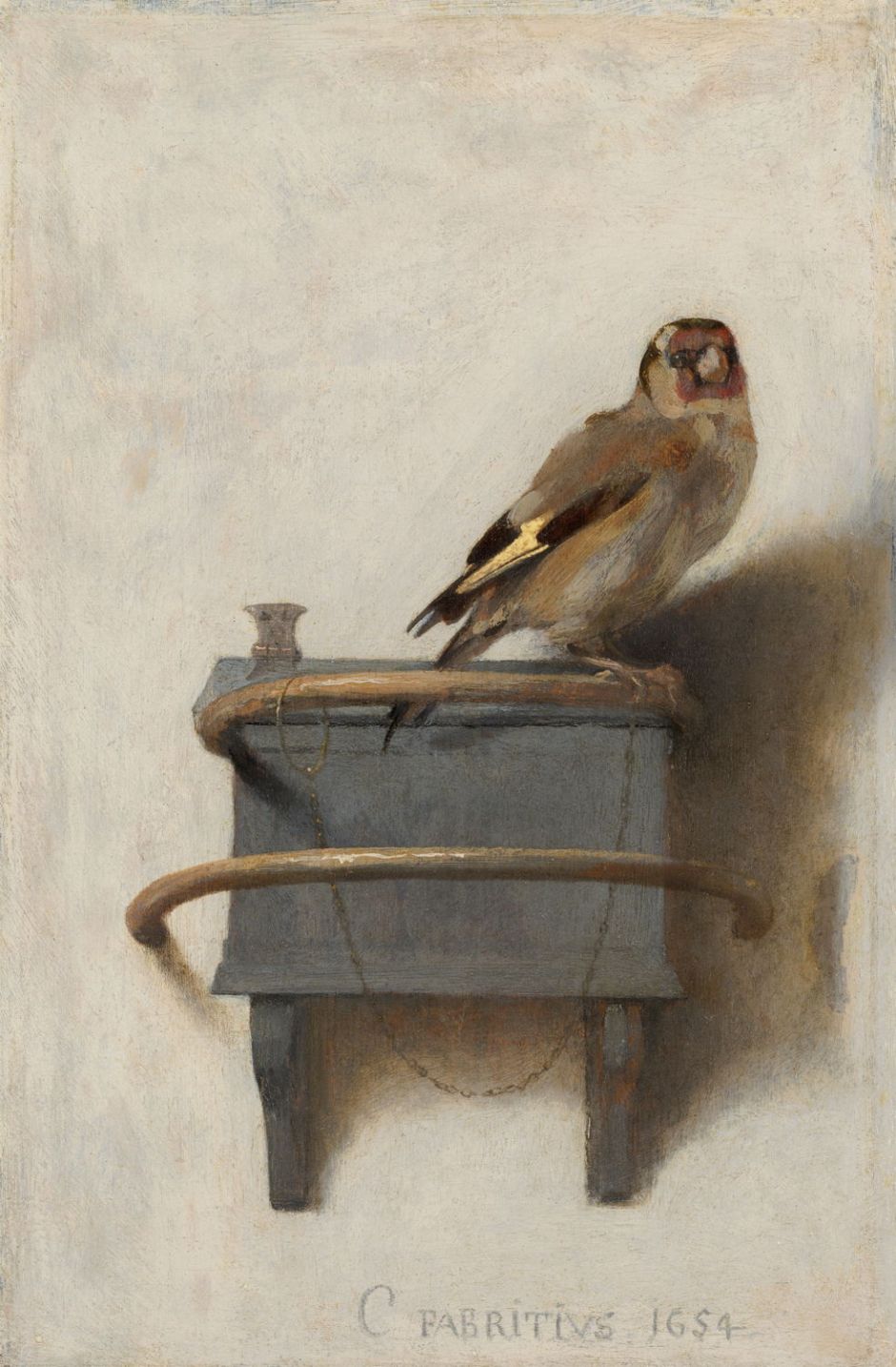 fabritiusgoldfinch