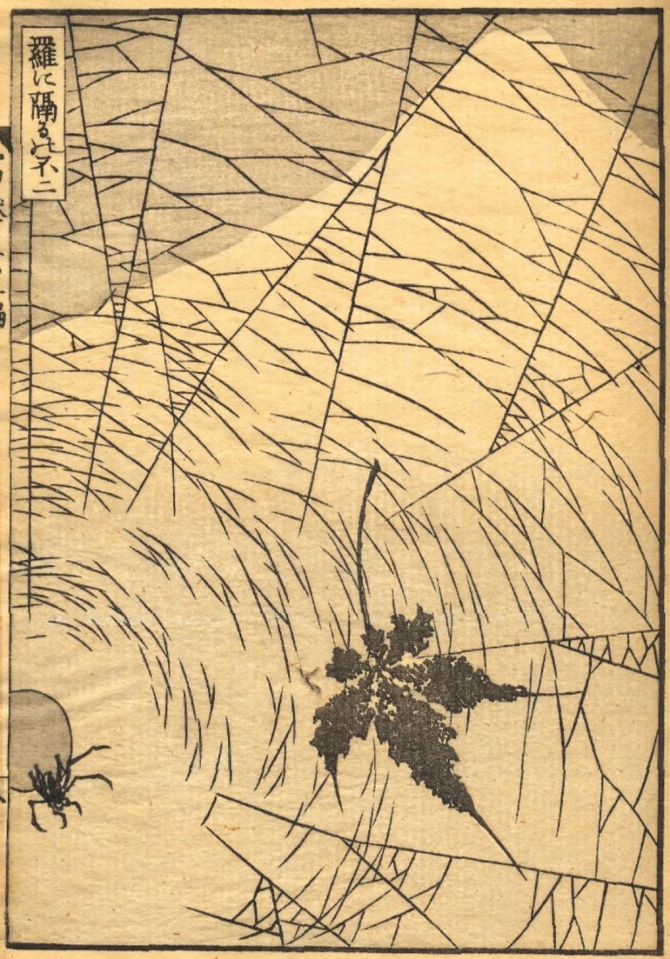 hokusaimtfujibehindspiderweb