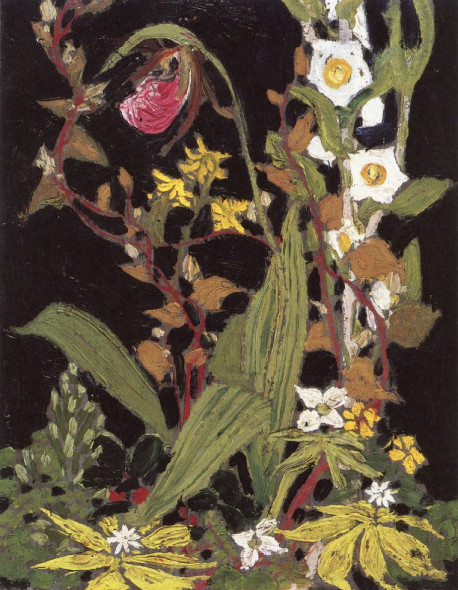 thomsonorchidsalgonquinpark