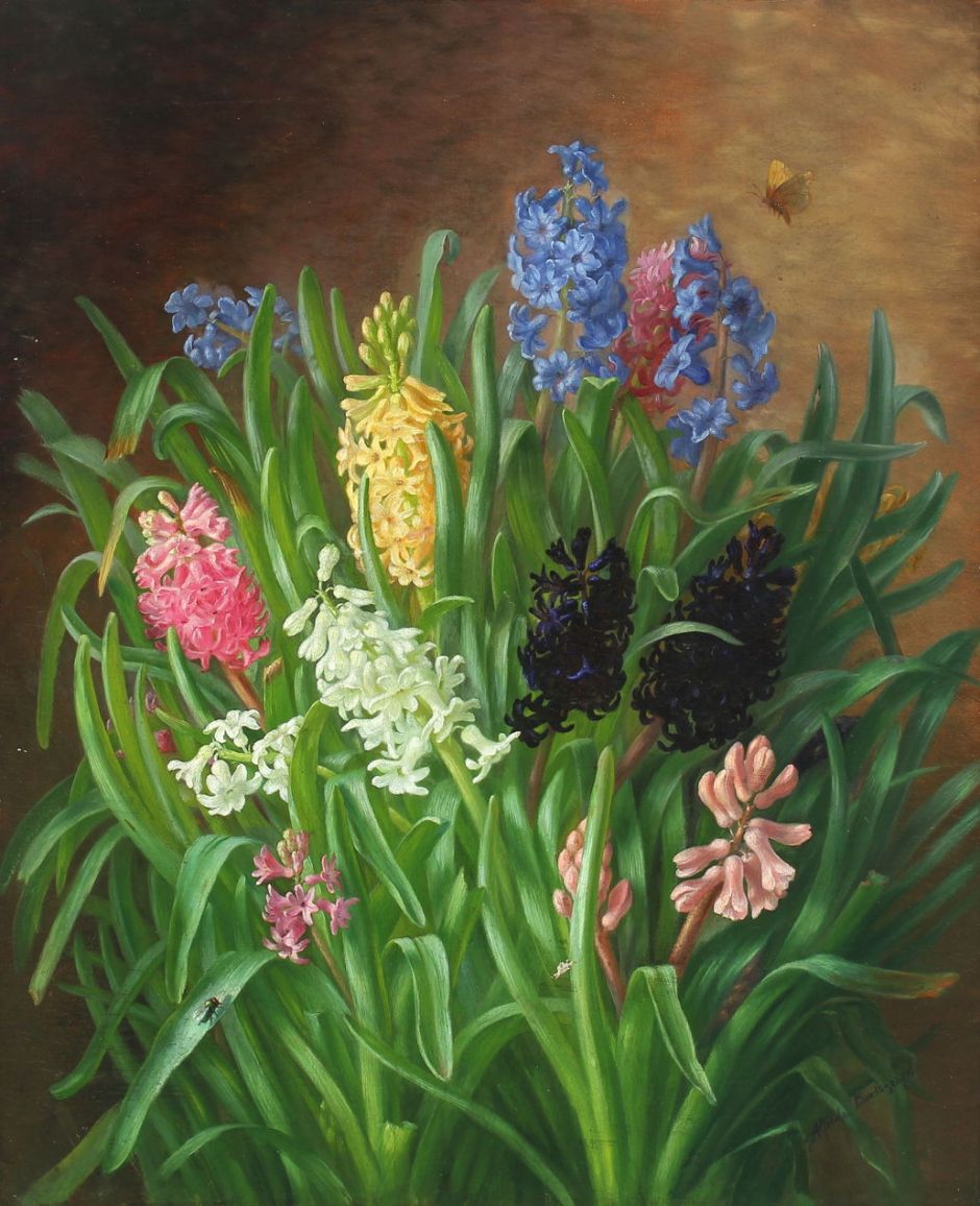 baadsgaardhyacinths