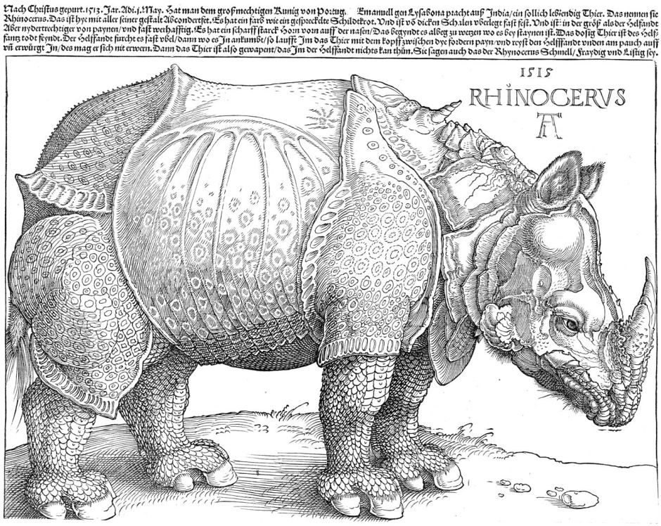 durerrhinoceros1515