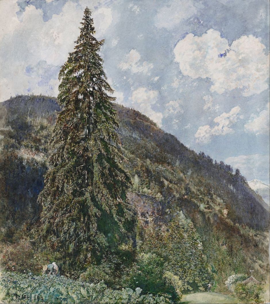 vonaltoldspruce