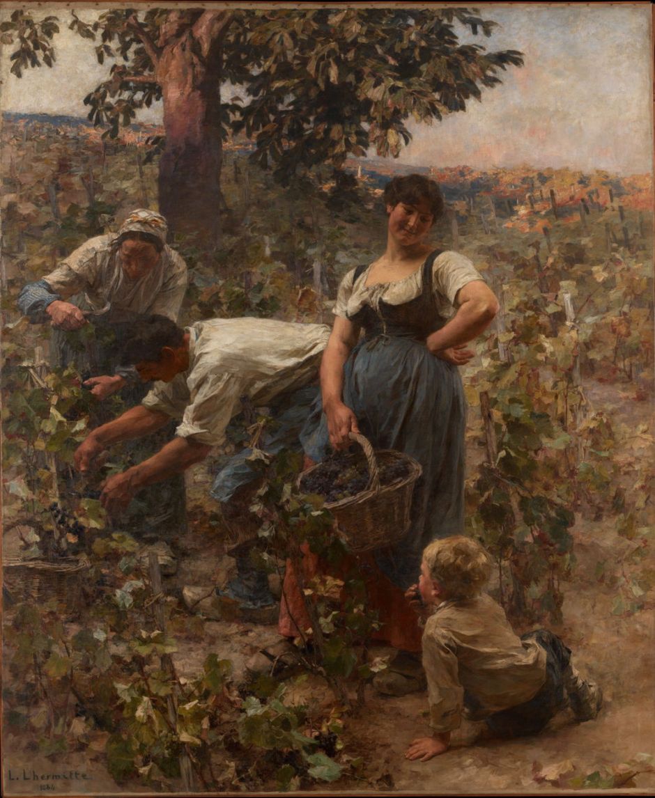 lhermittegrapeharvest