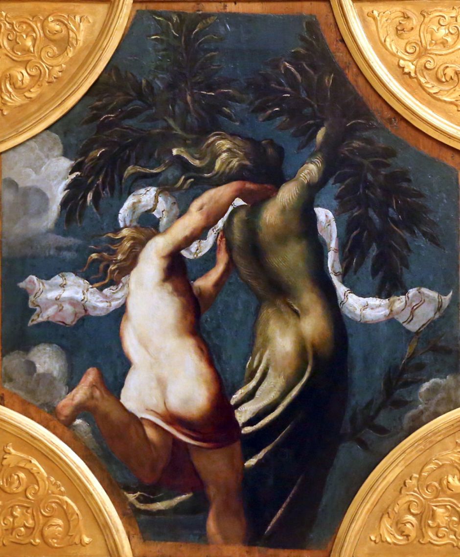 tintorettoapollodaphne1541