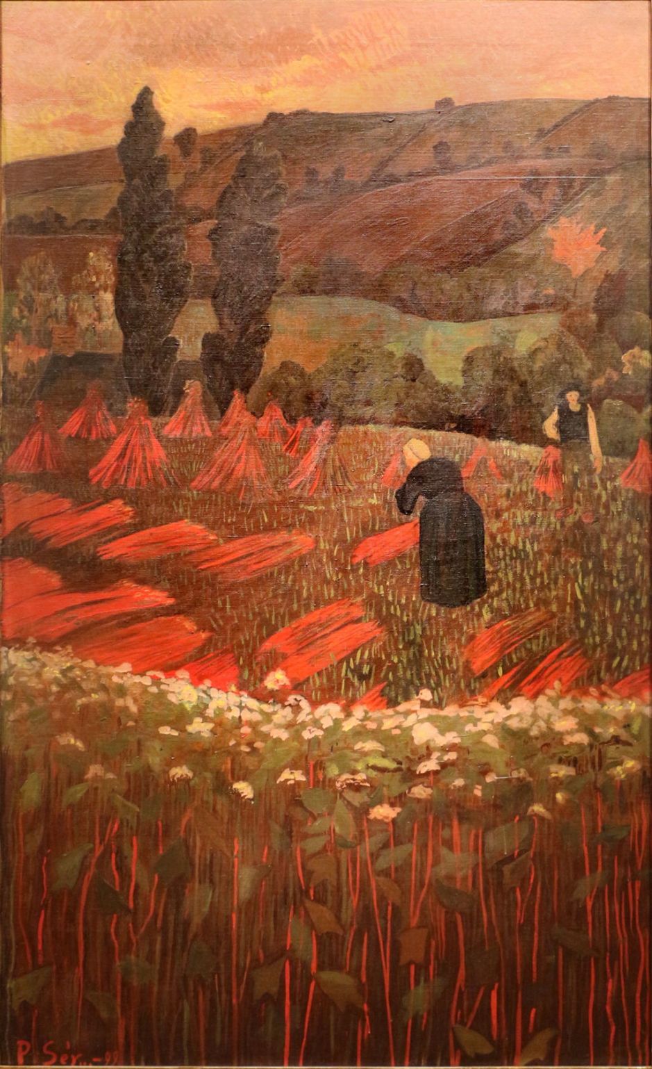 serusierbuckwheatharvest