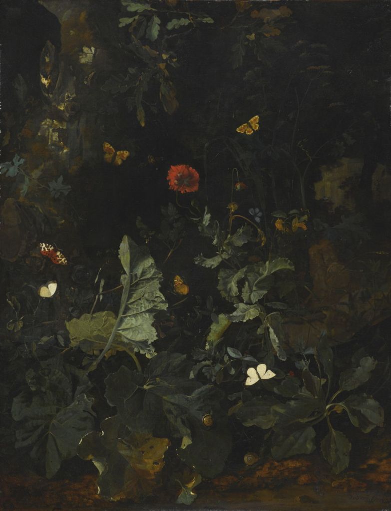 The Dutch Golden Age: Still Life – The Eclectic Light Company