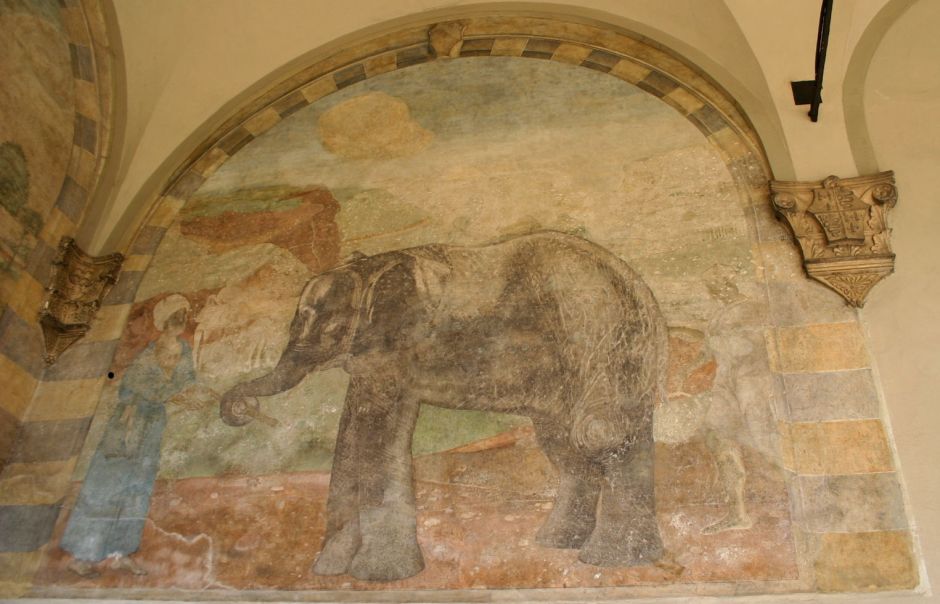 anonelephantfresco