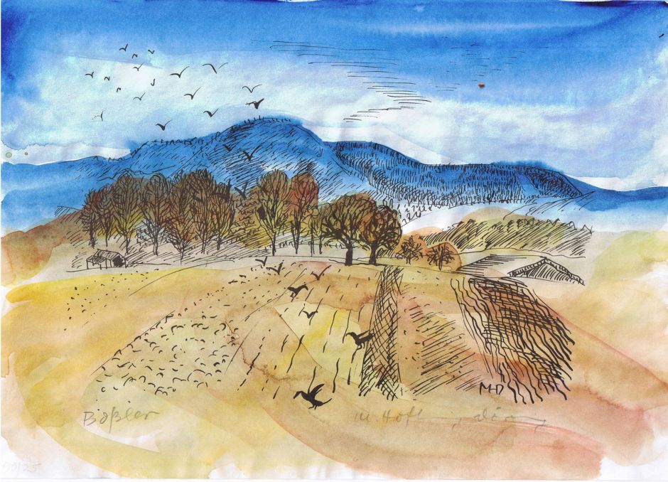 hofheinzdoringbosslerswabianalps