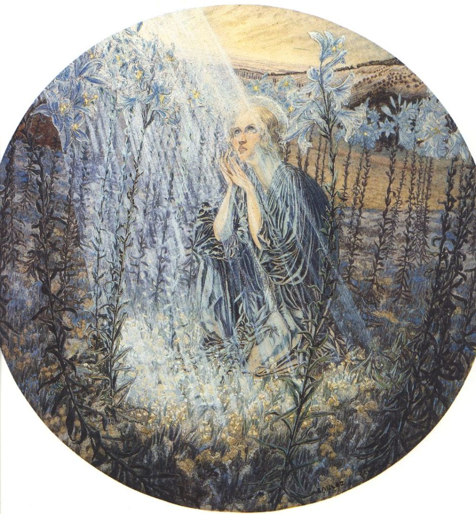 schwabevirginliliesud