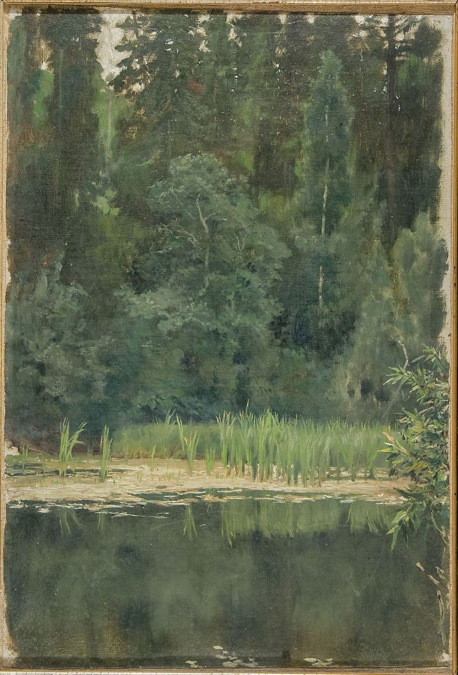 vasnetsovalenushkinpond