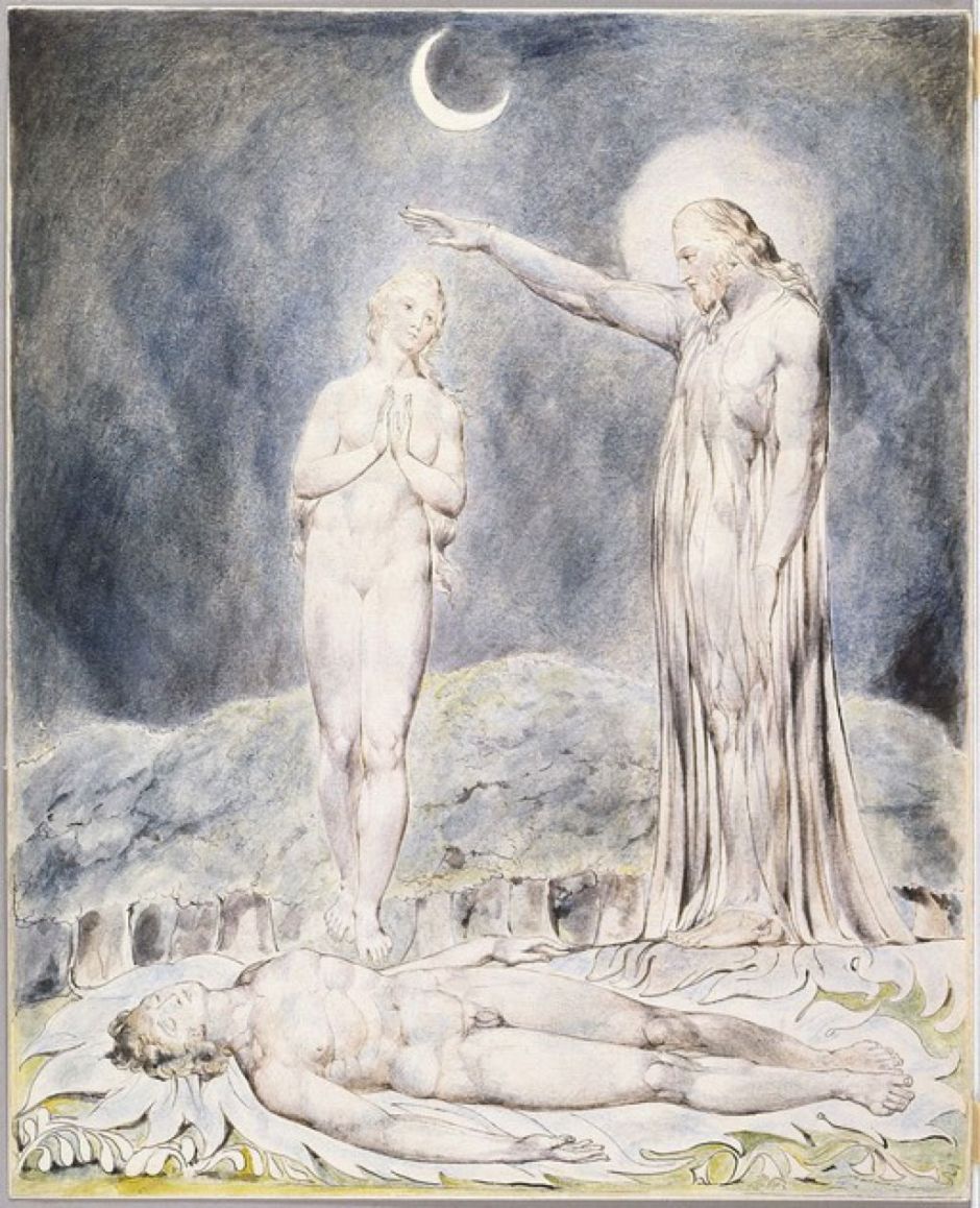 blakeparadiselinell8