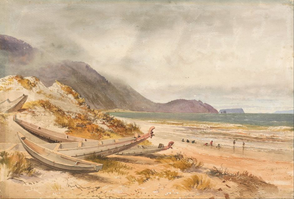 chevalierpaekakariki