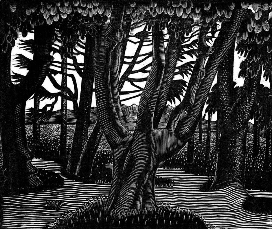 raviliouswoodlandflorence