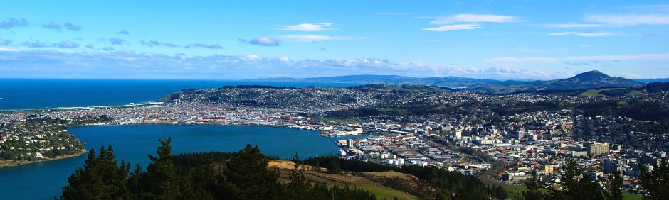 Dunedin Panorama