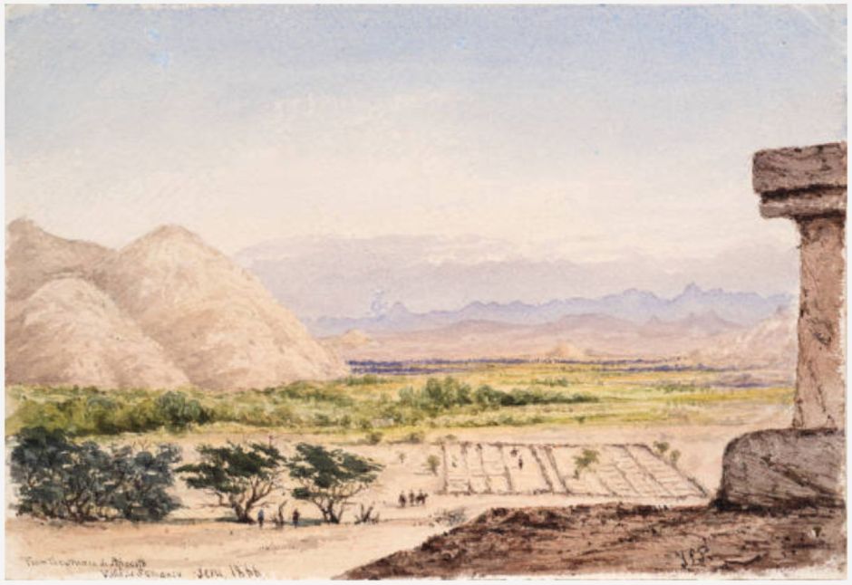 palmertophuacadeapacote