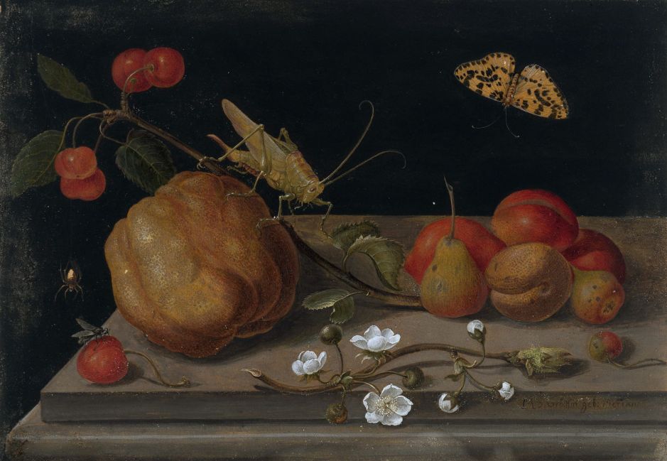Still life with fruit, a grasshoper and a butterfly, by Maria Sibylla Merian
