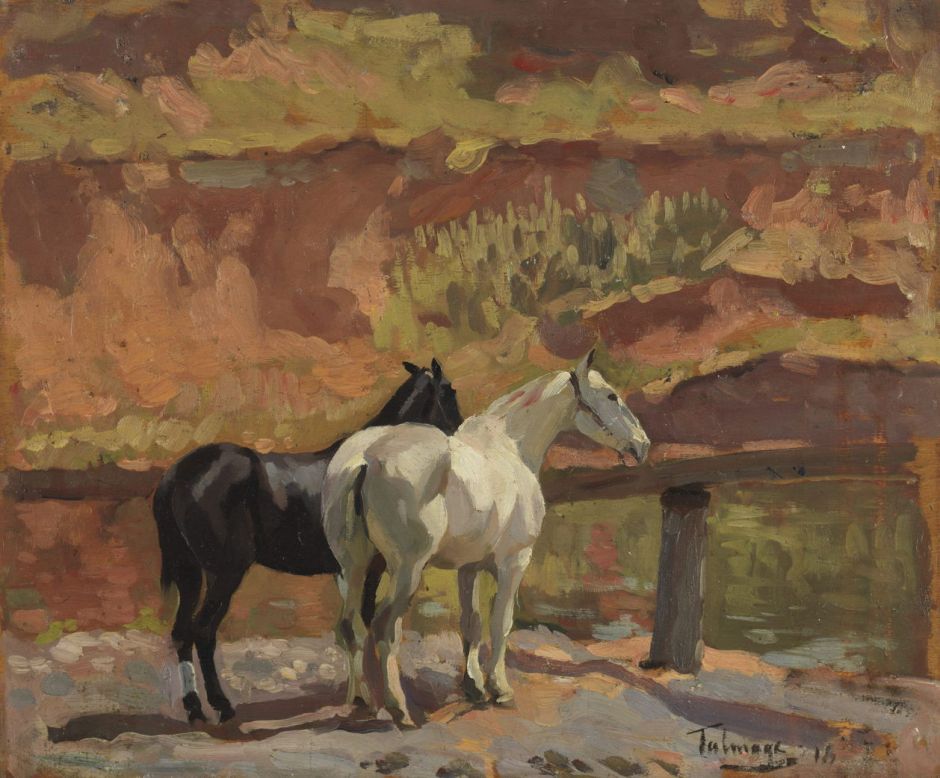 talmageconvalescents