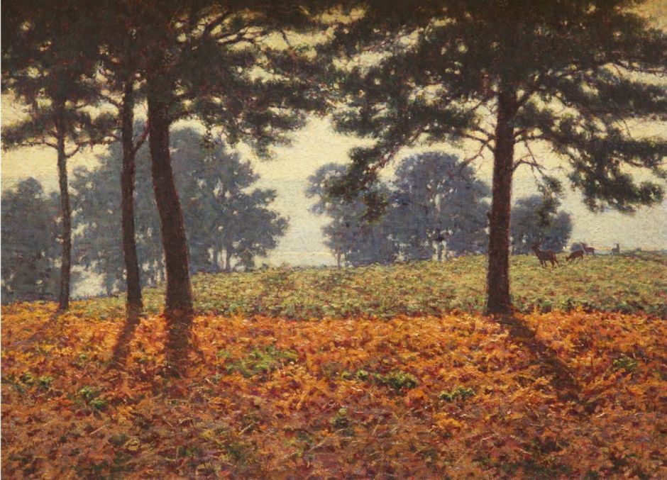 dewhursteveningshadows