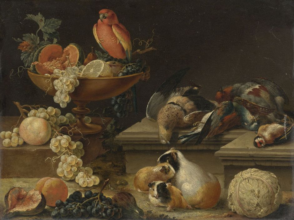 winckstilllifeguineapigs